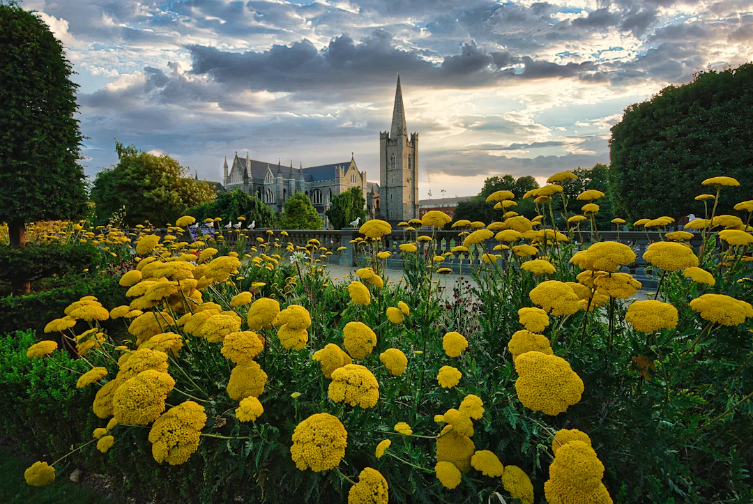 Britain and Ireland Tour: Dublin, Edinburgh & London in 9 Days